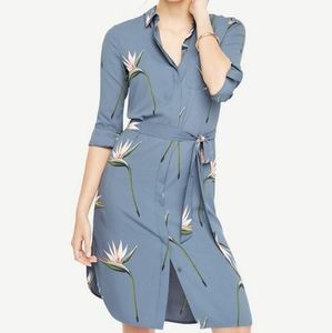 Ann Taylor Dress